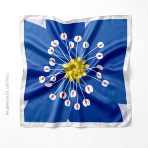 Skjerf-Blaaveis-1200×1200-px